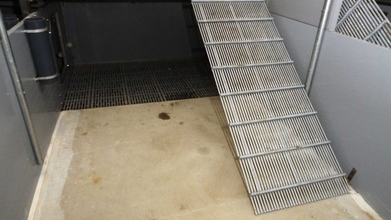传统批发市场：价格优势与时效性考量
