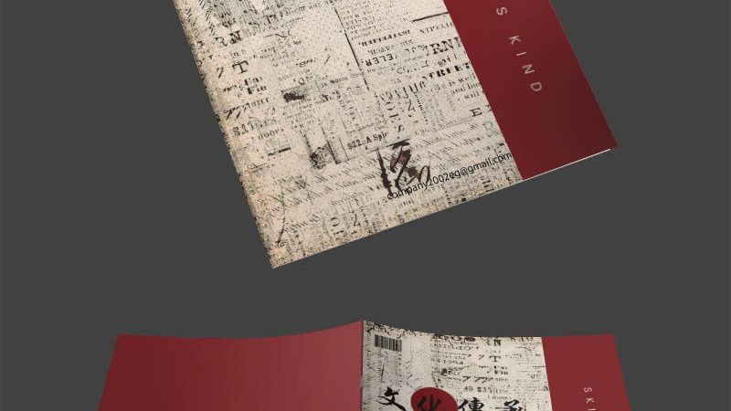 Shopify与WordPress电商建站：优缺点解析与选择指南